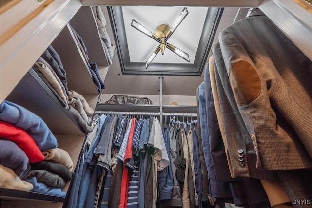 view of spacious closet