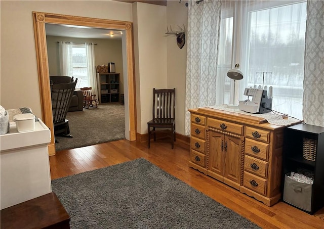 sitting room with hardwood / wood-style flooring