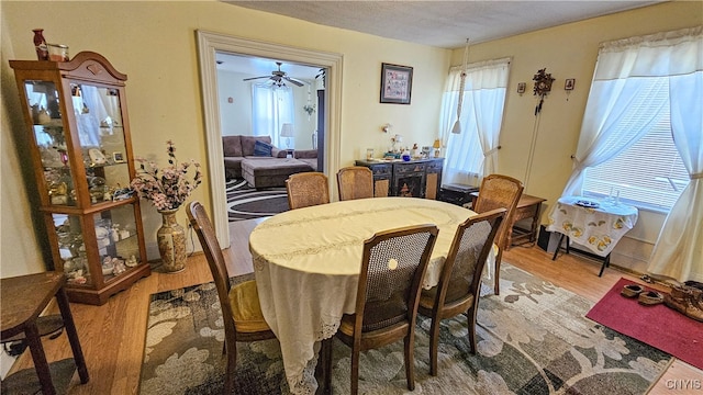 dining room with hardwood / wood-style flooring