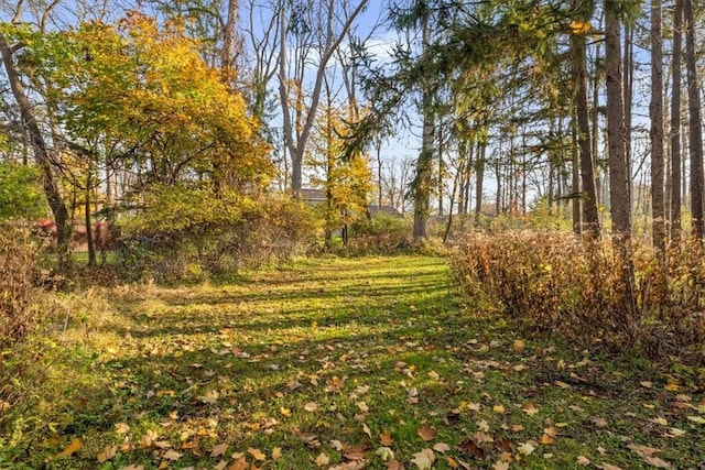 view of yard