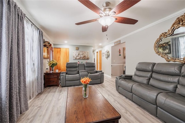 living room featuring ornamental molding, ceiling fan, and light wood-type flooring