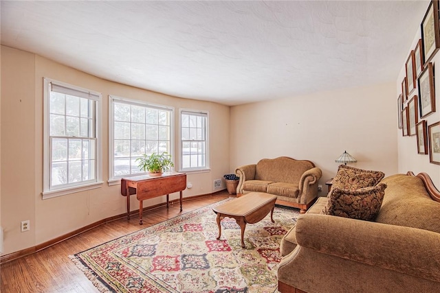 living room with hardwood / wood-style floors