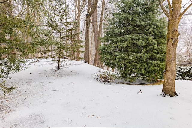 view of snowy yard