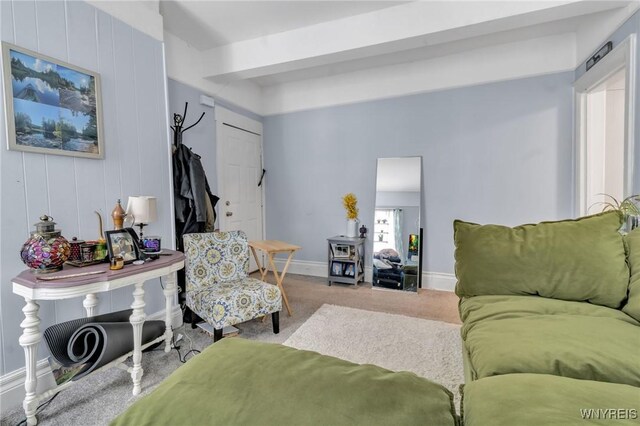 547 Potomac Ave, Buffalo, NY 14222 - living room featuring carpet floors