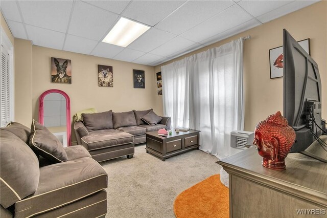 547 Potomac Ave, Buffalo, NY 14222 - living room with carpet flooring and a drop ceiling