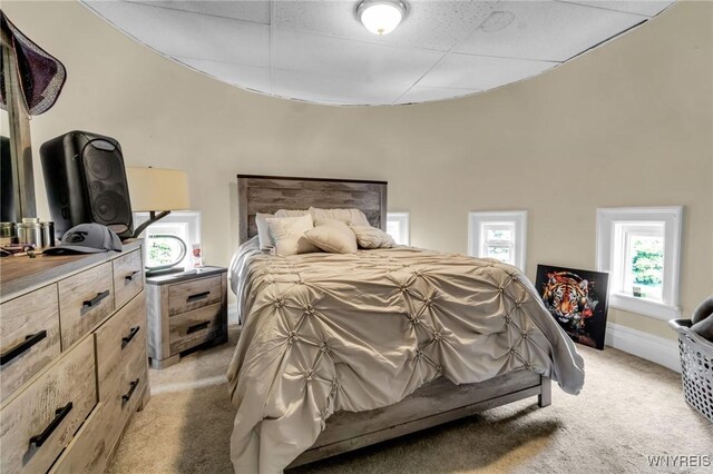 547 Potomac Ave, Buffalo, NY 14222 - bedroom with light carpet and a drop ceiling
