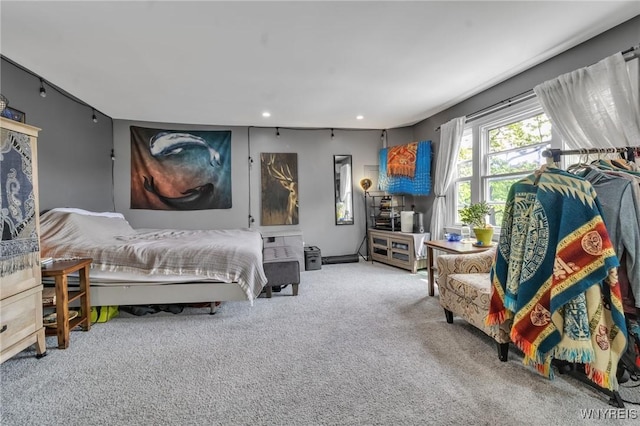 547 Potomac Ave, Buffalo, NY 14222 - view of carpeted bedroom