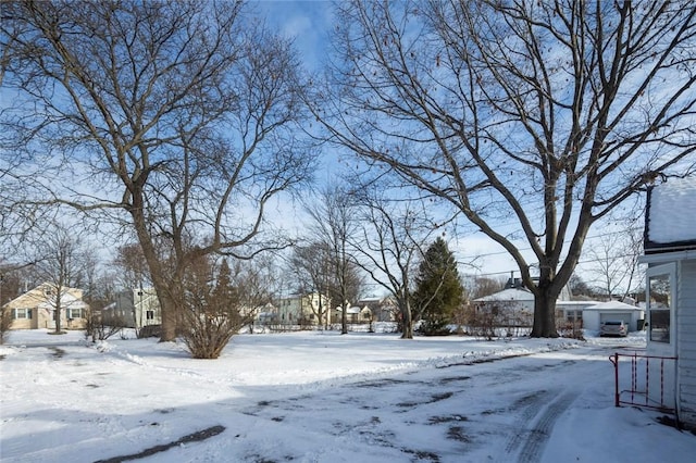 view of yard covered in snow