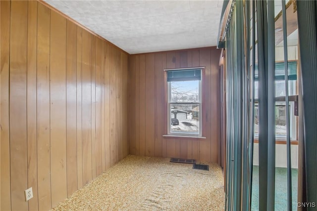 unfurnished room with carpet floors and wooden walls