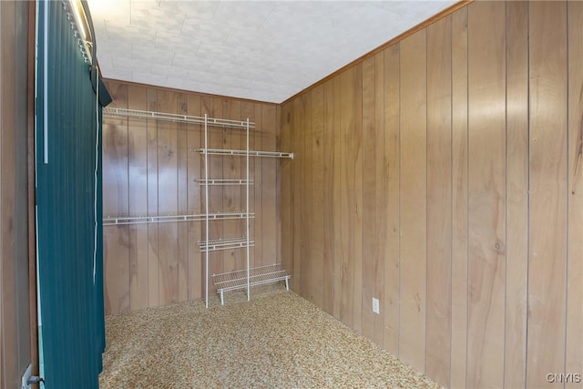 spacious closet featuring carpet flooring