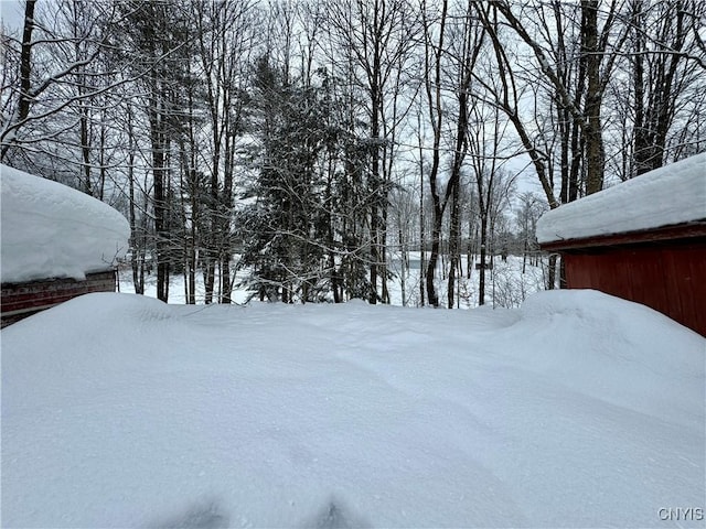 view of yard covered in snow