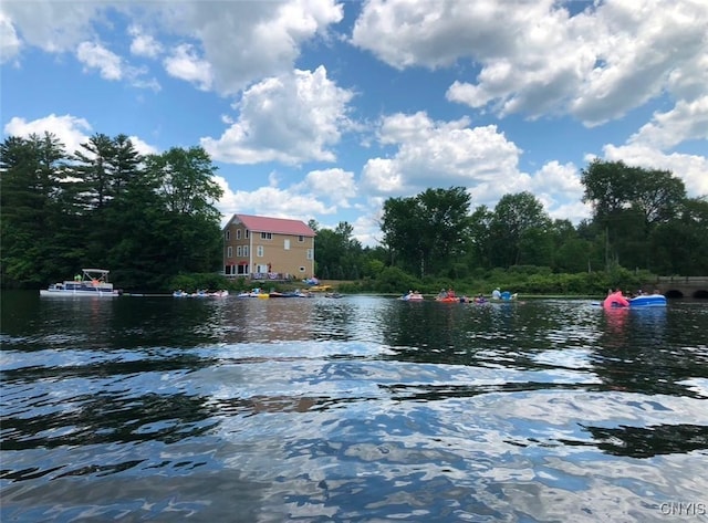 property view of water