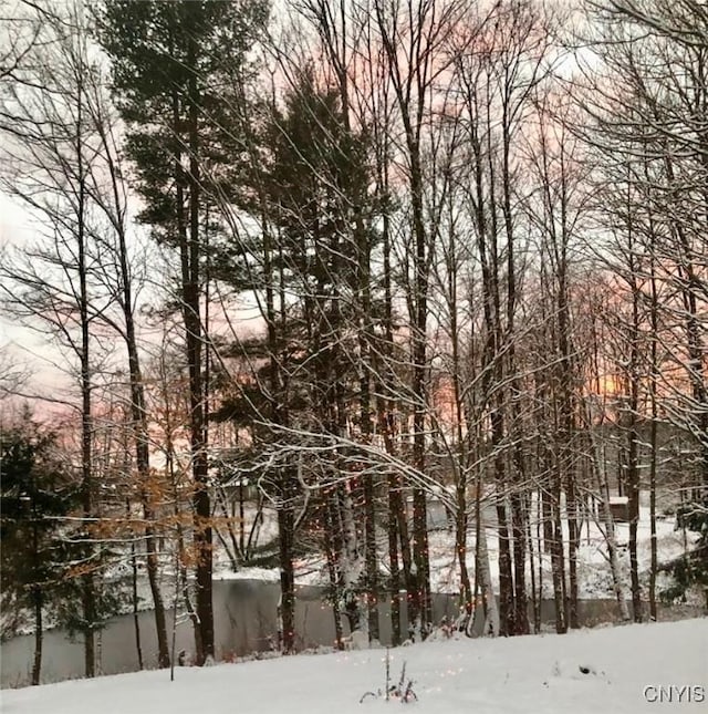 view of snowy landscape