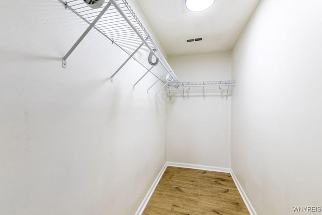 walk in closet featuring wood-type flooring