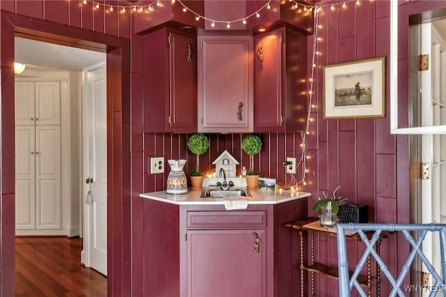 kitchen with dark hardwood / wood-style flooring and sink