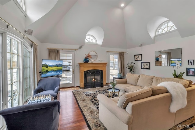 living room featuring dark hardwood / wood-style flooring and high vaulted ceiling