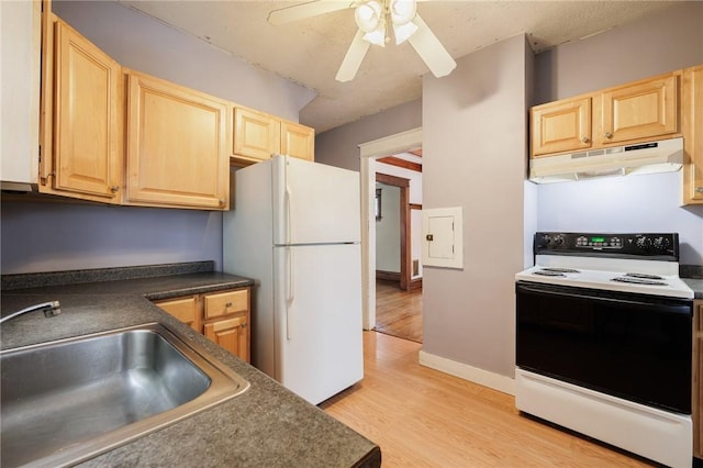 kitchen with sink, light hardwood / wood-style flooring, light brown cabinets, white refrigerator, and electric range