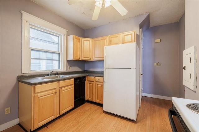 kitchen with light hardwood / wood-style floors, black dishwasher, sink, and white fridge