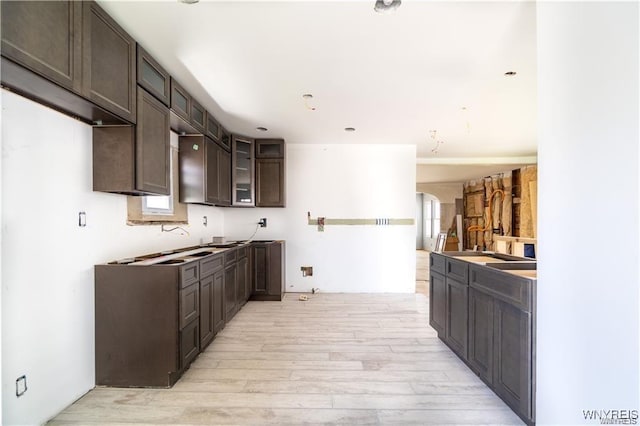 kitchen with dark brown cabinets and light wood-type flooring