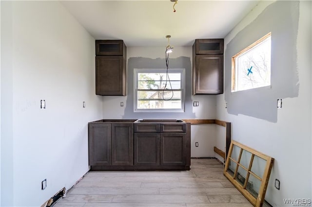 kitchen with dark brown cabinetry and light hardwood / wood-style floors