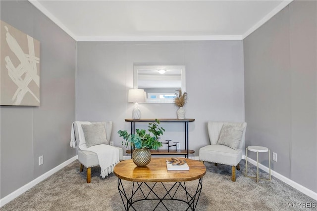 sitting room featuring ornamental molding and carpet flooring