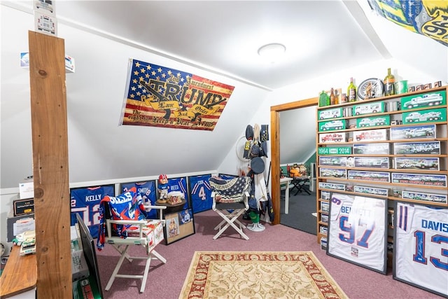 recreation room with carpet