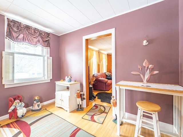 playroom with wood-type flooring