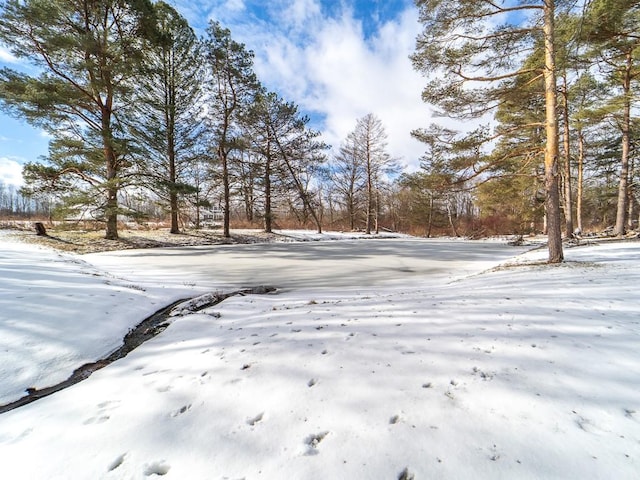 view of yard covered in snow