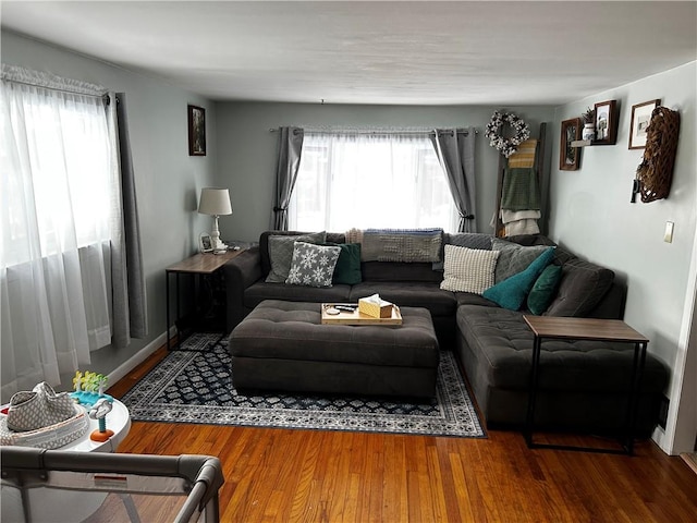 living room featuring a healthy amount of sunlight and hardwood / wood-style floors