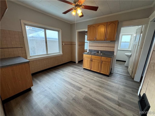 kitchen featuring crown molding, ceiling fan, sink, and light hardwood / wood-style flooring