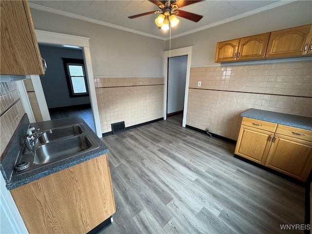 kitchen with hardwood / wood-style flooring, crown molding, sink, and ceiling fan