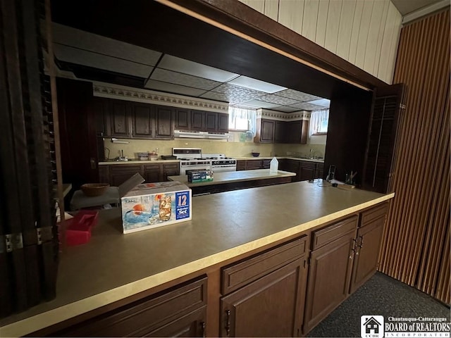 kitchen with white range, range hood, sink, and a drop ceiling