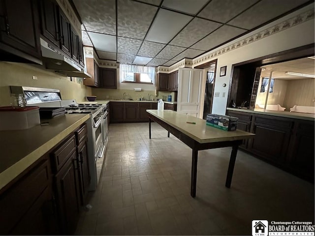 kitchen featuring sink, stainless steel stove, dark brown cabinets, and a drop ceiling