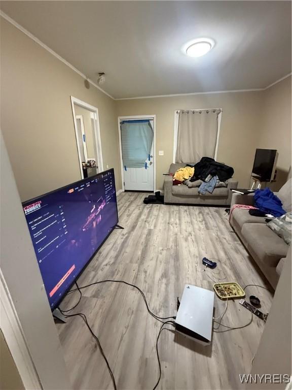 living room featuring crown molding and wood-type flooring