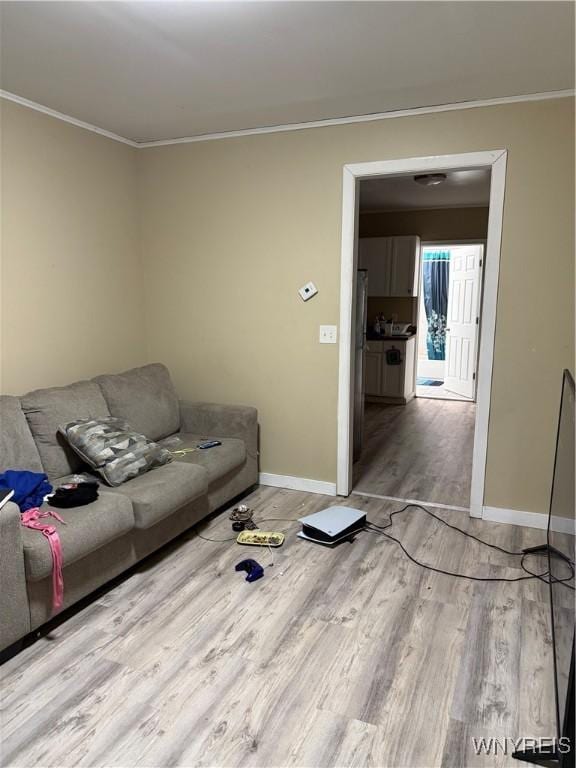 living room with crown molding and wood-type flooring