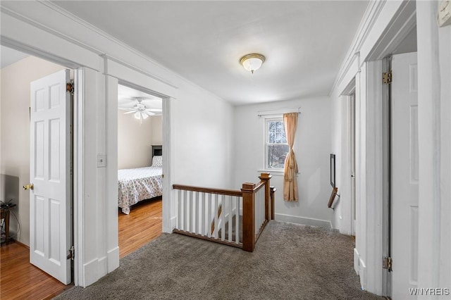 corridor featuring crown molding and carpet flooring