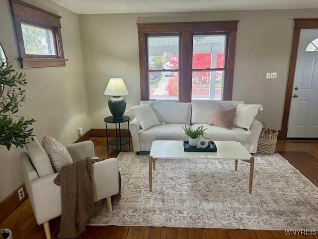 living room with dark hardwood / wood-style flooring