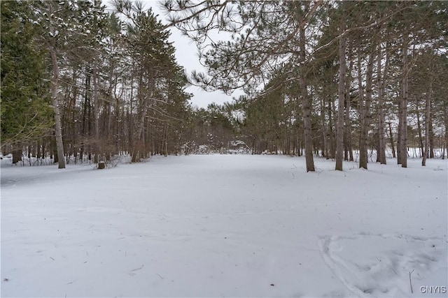 view of yard layered in snow