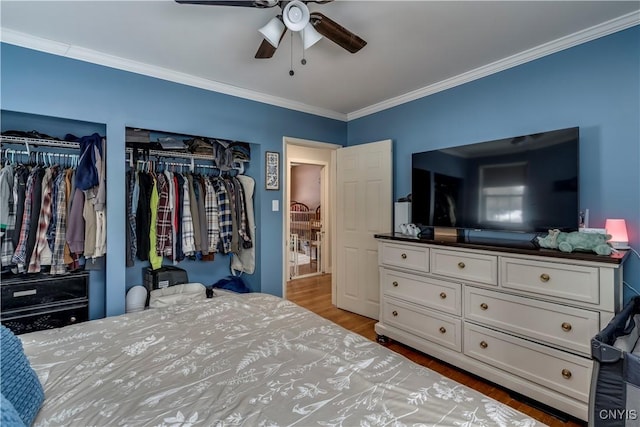 bedroom featuring crown molding, two closets, ceiling fan, and hardwood / wood-style flooring