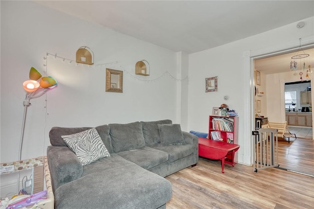 living room with hardwood / wood-style floors