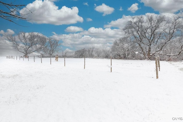 view of yard layered in snow