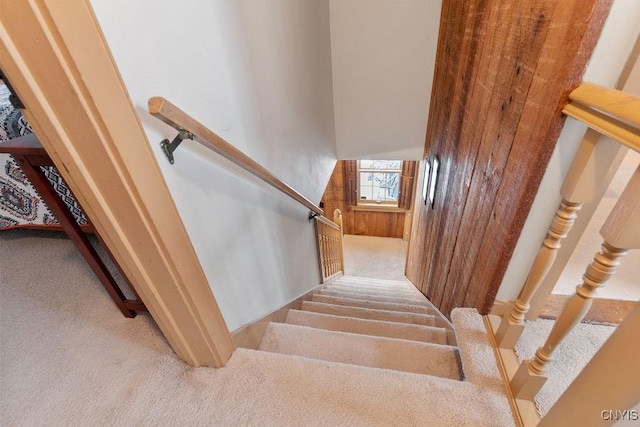 staircase with carpet floors