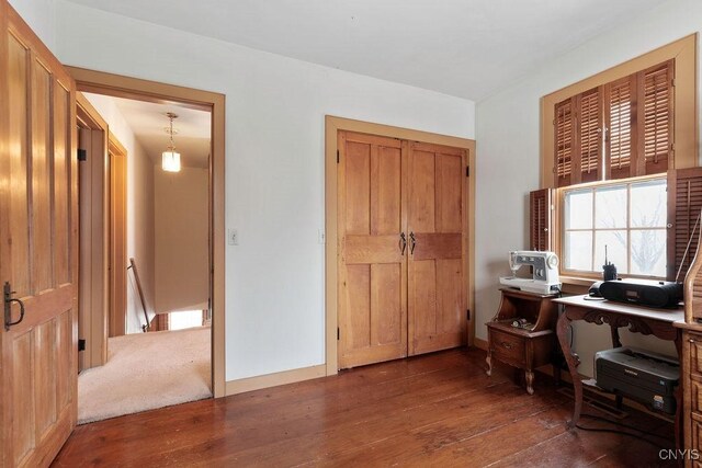 home office featuring dark hardwood / wood-style floors