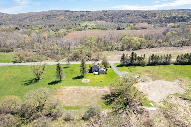 drone / aerial view featuring a rural view