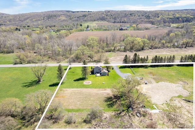 drone / aerial view featuring a rural view