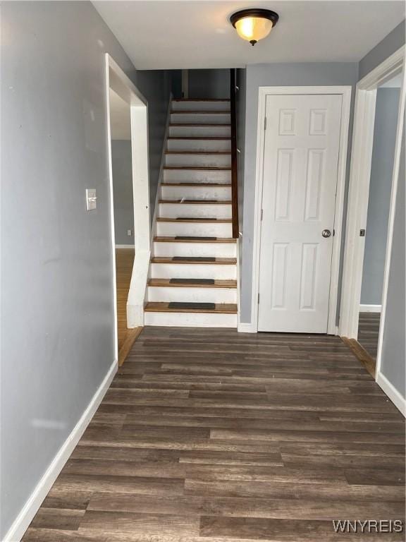 staircase with hardwood / wood-style flooring