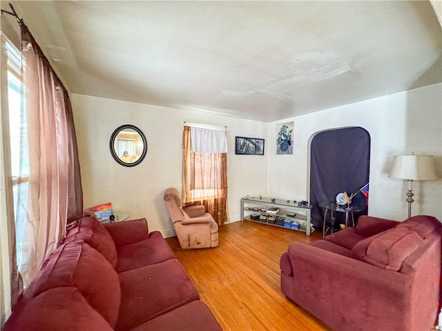 living room with wood-type flooring