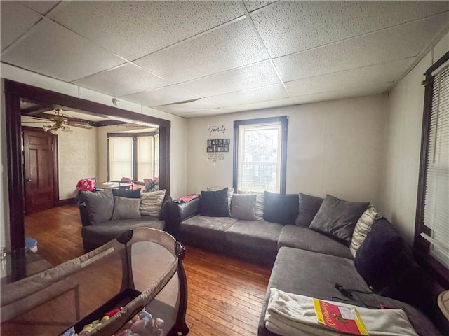 living room featuring a paneled ceiling and hardwood / wood-style floors