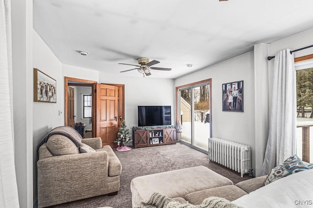 carpeted living room with ceiling fan and radiator heating unit