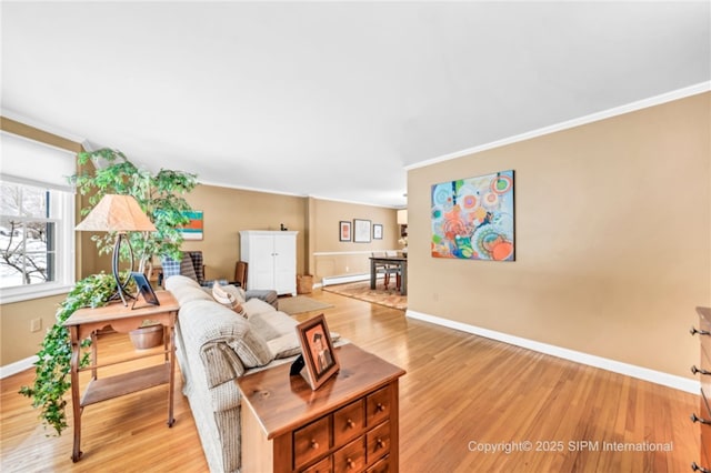 living room featuring hardwood / wood-style flooring, crown molding, and baseboard heating